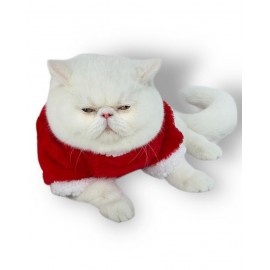 Cat Santa Bow Yılbaşı Kedi Sweati