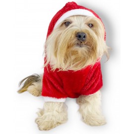 Santa Time Yılbaşı Köpek Sweatshirt, Noel Sweatshirt gold