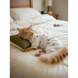 Teddy Bear Chic Kedi Uyku Seti | Penye Kedi Tulum ve Mini Yastık Takımı | Pamuklu | Tüy Dökülmesini Azaltır | 