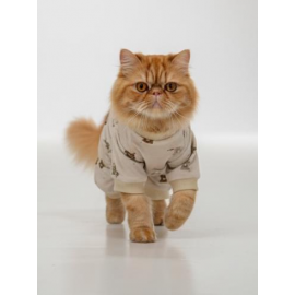 Teddy Bear Pamuklu Kedi Tulum Pijama