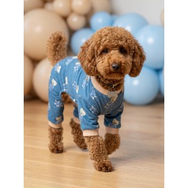 Teddy Blues Penye Köpek Tulumu | Ayıcık Desenli Köpek Pijaması | Küçük Irklar İçin
