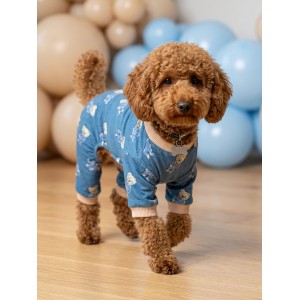 Teddy Blues Penye Köpek Tulumu | Ayıcık Desenli Köpek Pijaması | Küçük Irklar İçin