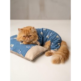 Teddy Blues Uyku Takımı | Ayıcık Desenli Pamuklu Penye Kedi Tulumu ve Mini Yastık