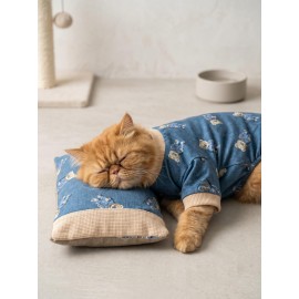 Teddy Blues Uyku Takımı | Ayıcık Desenli Pamuklu Penye Kedi Tulumu ve Mini Yastık