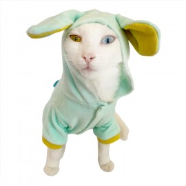 Teddy Boo Kedi Tulumu Kedi Kıyafeti