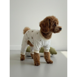 Teddy Chic Köpek Uyku Takımı | Pamuklu Penye Köpek Tulumu ve Mini Yastık | Küçük Irklar İçin | Tüy Dökülmesini Azaltır