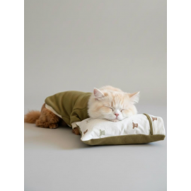 Teddy Forest Chic Polar Sweat ve Yastık Takımı – Kediler İçin Uyku by Kemique