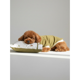 Teddy Forest Chic Polar Sweat ve Yastık Takımı – Köpekler İçin Uyku by Kemique