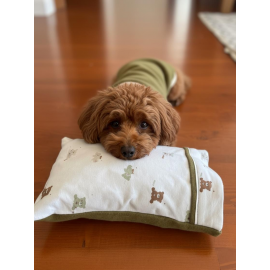 Teddy Forest Chic Polar Sweat ve Yastık Takımı – Köpekler İçin Uyku by Kemique