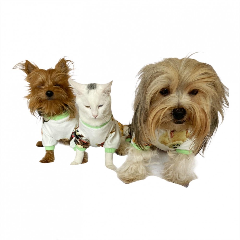 Teddy Green Penye Tulum Köpek Tulumu Köpek Elbisesi