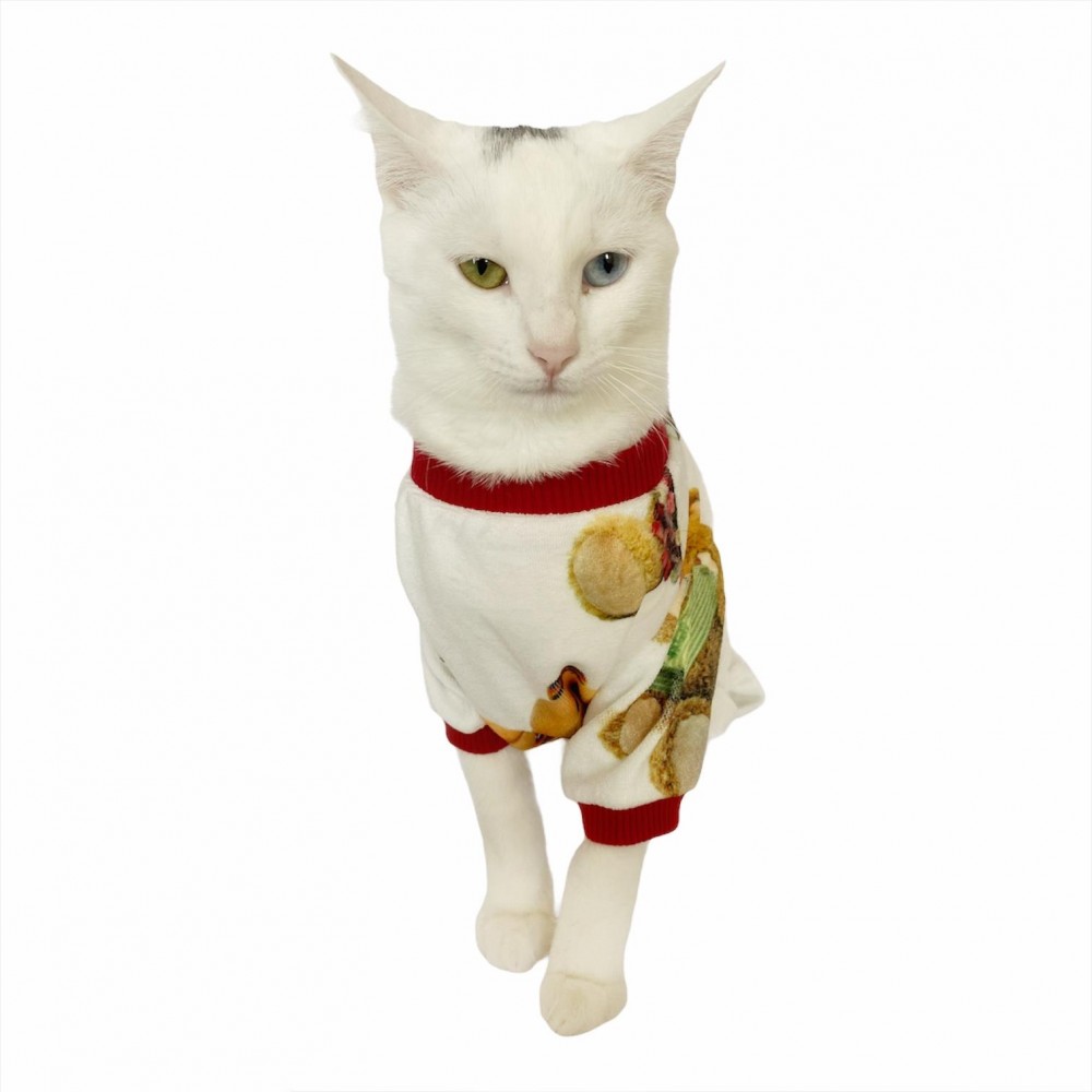 Teddy Red Penye Tulum Kedi Tulumu Kedi Elbisesi