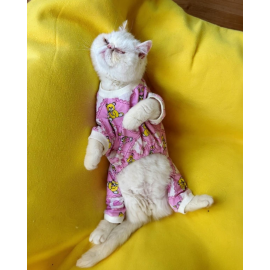 Teddy Toad Penye Kedi Tulum Pijama
