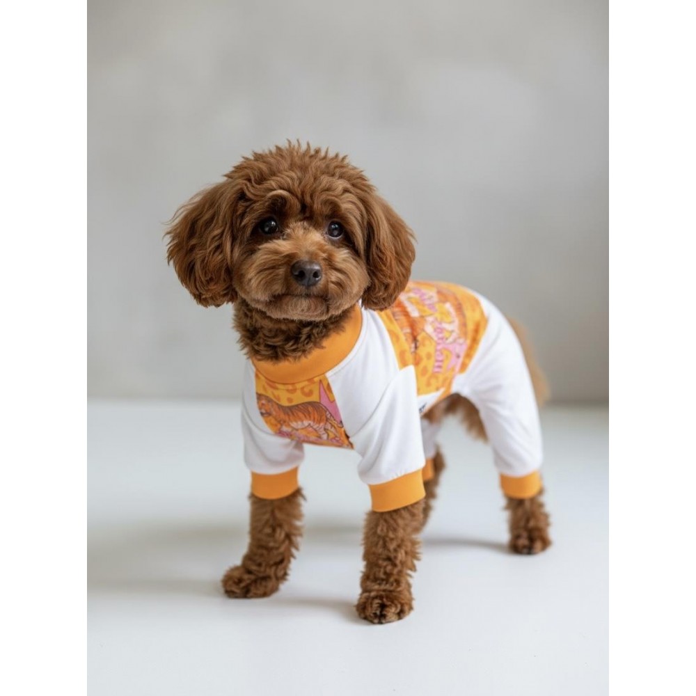 Never Give Up Köpek Tulum Pijama