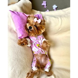 Toad Teddy Penye Tulum Yastık Takım Uyku Set Köpek Tulum Elbise