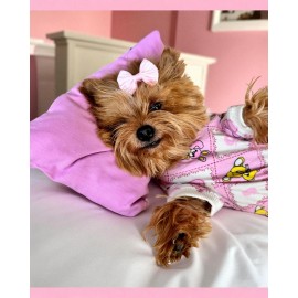 Toad Teddy Penye Tulum Yastık Takım Uyku Set Köpek Tulum Elbise