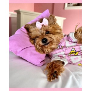 Toad Teddy Penye Tulum Yastık Takım Uyku Set Köpek Tulum Elbise