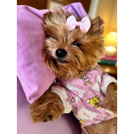 Toad Teddy Penye Tulum Yastık Takım Uyku Set Köpek Tulum Elbise