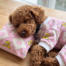 Toad Teddy Penye Tulum Yastık Takım Uyku Set Köpek Tulum Elbise