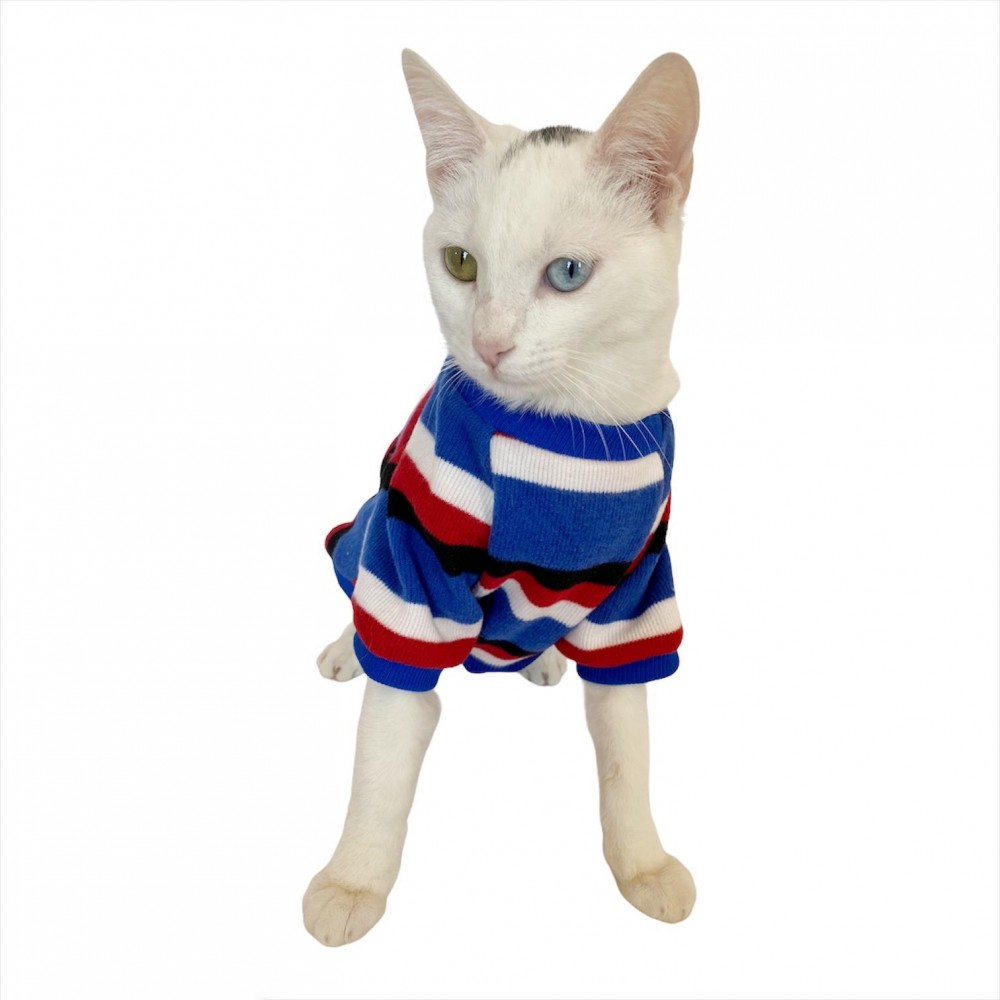 Coraptan Kedi Kiyafeti Yapimi