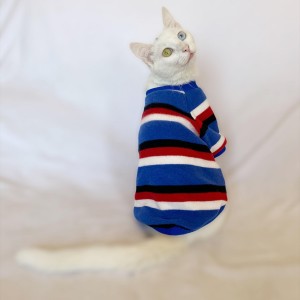 Tommy Colours Oval Yaka Tişört Kedi Kıyafeti Kedi Elbisesi
