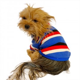Tommy Colours Oval Yaka Tişört Köpek Kıyafeti Köpek Elbisesi