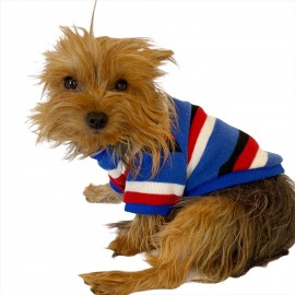 Tommy Colours Oval Yaka Tişört Köpek Kıyafeti Köpek Elbisesi