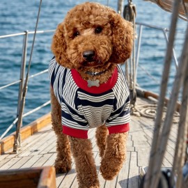 Yacht Club Marin Çizgili Köpek Tişörtü | Lacivert Kırmızı Yazlık Köpek Kıyafeti | Küçük Irklar