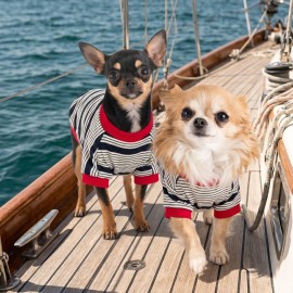 Yacht Club Marin Çizgili Köpek Tişörtü | Lacivert Kırmızı Yazlık Köpek Kıyafeti | Küçük Irklar