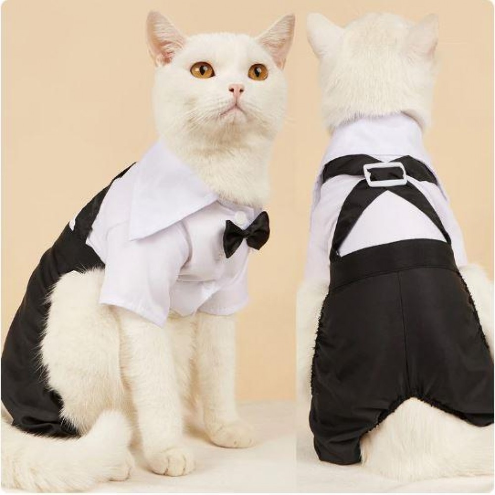 Tuxedo Smokin Kedi Kıyafeti Damatlık