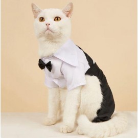 Tuxedo Smokin Kedi Kıyafeti Damatlık