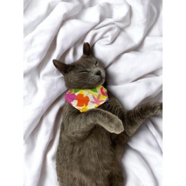 Summer Kedi Bandana, Fular, Kedi Kıyafeti Kedi Elbisesi, Kedi Tasması