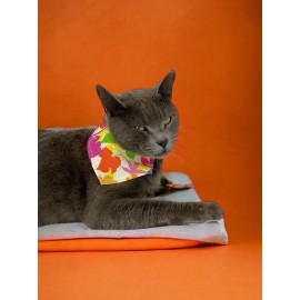 Summer Kedi Bandana, Fular, Kedi Kıyafeti Kedi Elbisesi, Kedi Tasması