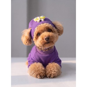 Violet Wings Köpek Bere ve Tulum Kombini | Mor Renk 3D Kelebek Aksesuarlı Penye Köpek Kıyafeti