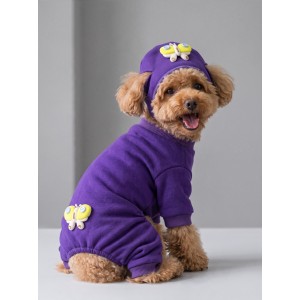 Violet Wings Köpek Bere ve Tulum Kombini | Mor Renk 3D Kelebek Aksesuarlı Penye Köpek Kıyafeti
