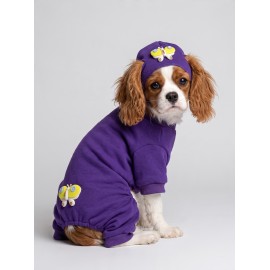 Violet Wings Köpek Bere ve Tulum Kombini | Mor Renk 3D Kelebek Aksesuarlı Penye Köpek Kıyafeti