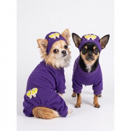 Violet Wings Köpek Bere ve Tulum Kombini | Mor Renk 3D Kelebek Aksesuarlı Penye Köpek Kıyafeti