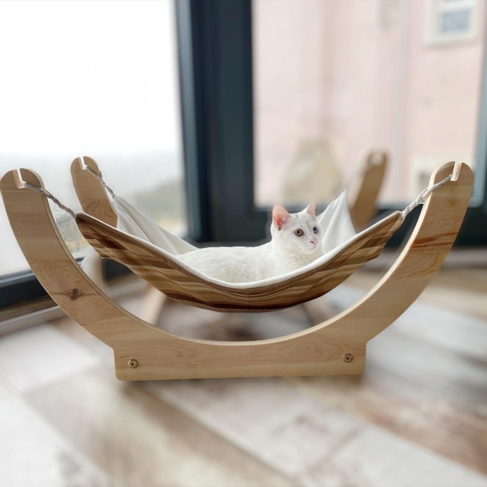 White Kate Ahsap Kedi Hamagi Kedi Yatagi Kedi Evi