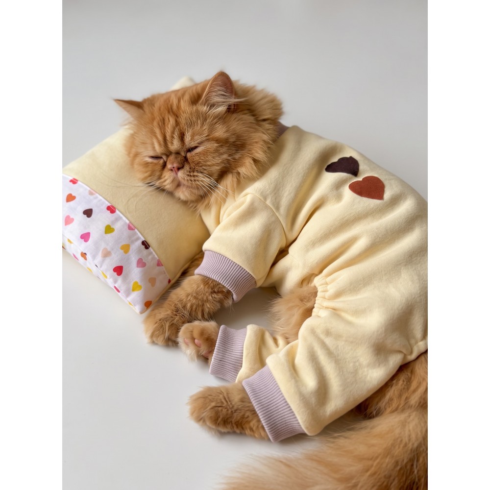 Winter Hearts Kedi Uyku Seti | Penye Kedi Tulum ve Mini Yastık Takımı | Pamuklu | Tüy Dökülmesini Azaltır | 