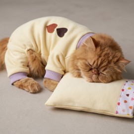 Winter Hearts Kedi Uyku Seti | Penye Kedi Tulum ve Mini Yastık Takımı | Pamuklu | Tüy Dökülmesini Azaltır | 