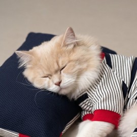 Yacht Club Marin Çizgili Kedi Uyku Takımı | Lacivert Kırmızı Pamuklu Kedi Tulumu ve Mini Yastık
