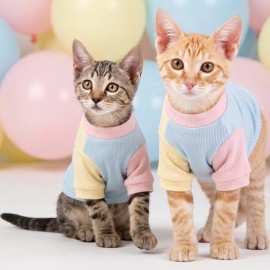Bubbles Pastel Kedi Tişörtü | Cepli Şeker Renkli Yazlık Kedi Kıyafeti | Küçük ve Orta Irk Kediler İçin 