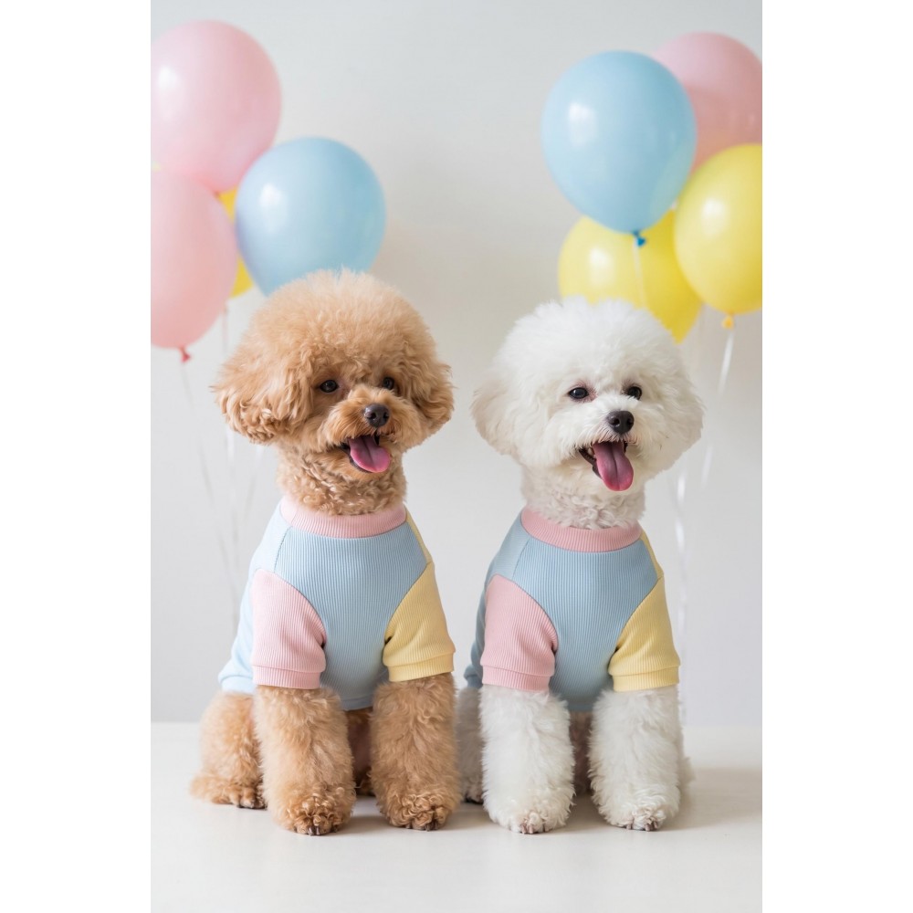 Bubbles Pastel Kedi Tişörtü | Cepli Şeker Renkli Yazlık Kedi Kıyafeti | Küçük ve Orta Irk Kediler İçin 
