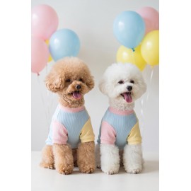 Bubbles Pastel Kedi Tişörtü | Cepli Şeker Renkli Yazlık Kedi Kıyafeti | Küçük ve Orta Irk Kediler İçin 