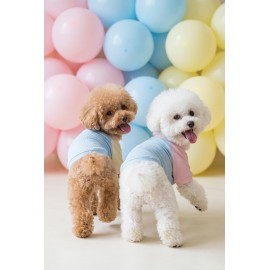 Bubbles Pastel Kedi Tişörtü | Cepli Şeker Renkli Yazlık Kedi Kıyafeti | Küçük ve Orta Irk Kediler İçin 