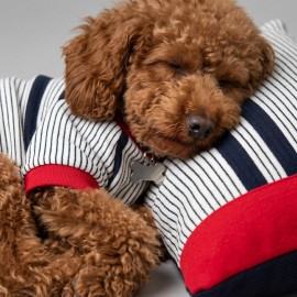 Yacht Club Marin Çizgili Köpek Uyku Takımı | Lacivert Kırmızı Pamuklu Köpek Tulumu ve Mini Yastık | Küçük Irklar İçin