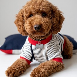 Yacht Club Marin Çizgili Köpek Uyku Takımı | Lacivert Kırmızı Pamuklu Köpek Tulumu ve Mini Yastık | Küçük Irklar İçin