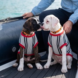 Yacht Club Marin Çizgili  Orta ve Büyük Irk Köpek Tişörtü | Lacivert Kırmızı Yazlık Köpek Kıyafeti