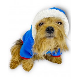 Sweet Blue Rabbit Kapşonlu Sweatshirt Köpek Kıyafeti Köpek Elbisesi 