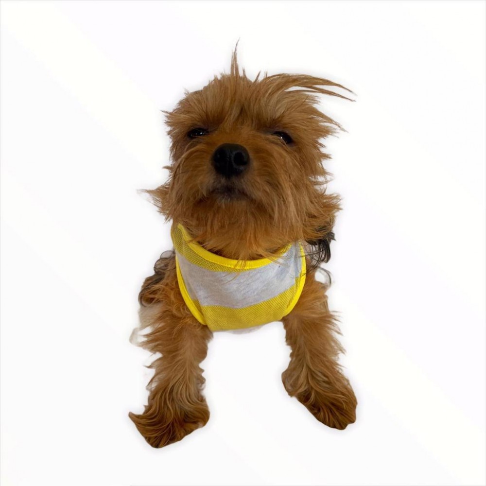 Yellow White Atlet by Kemique Köpek Kıyafeti Köpek Elbise