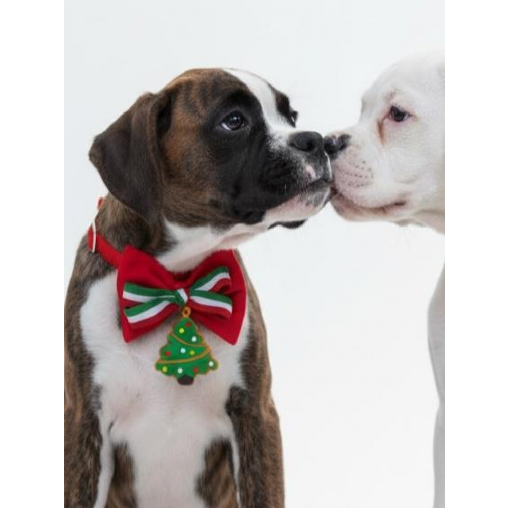 Yılbaşı Agaçı Köpek Papyon Tasması | Kırmızı Fiyonk Boyun Aksesuarı | Noel Temalı Köpek Süsü | Orta ve Büyük Irklar İçin